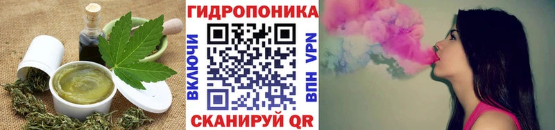 Canna-Cookies марихуана  закладка  Стародуб 