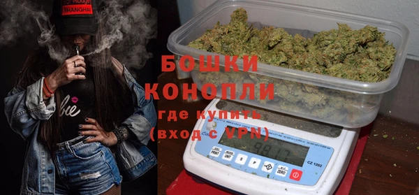 дживик Арсеньев