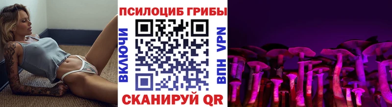 где продают наркотики  Стародуб  Галлюциногенные грибы мицелий 
