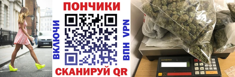 закладка  Стародуб  Канабис индика 